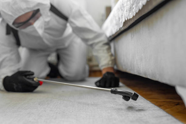 Professional Termite Control technician working in Cedar Lake, IN